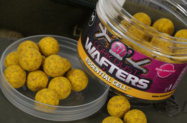 Mainline Balanced Cork Dust Wafters Essential Cell 14mm