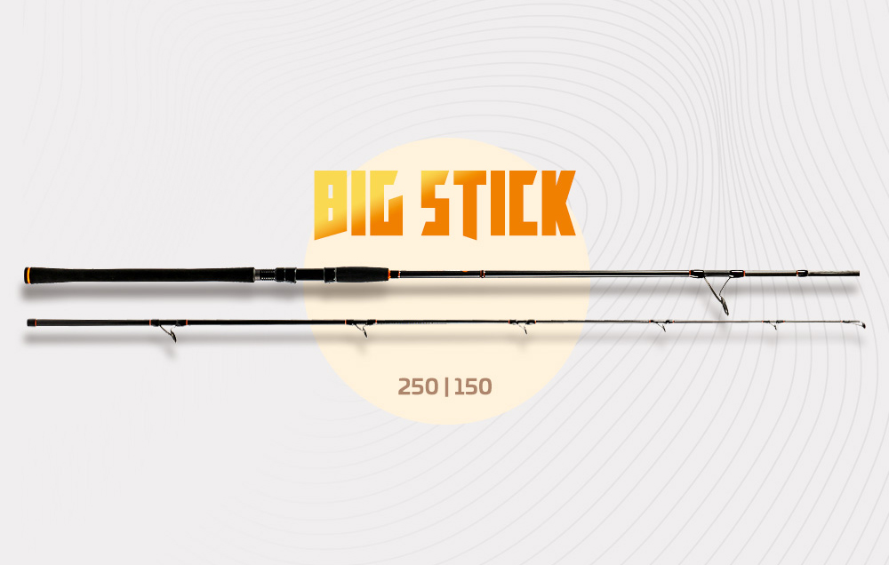 Zeck Fishing Big Stick 250cm 150g