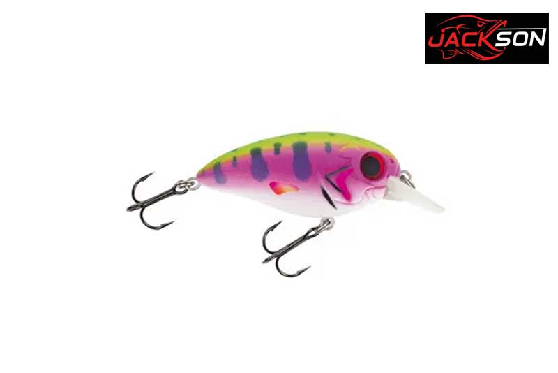 Jackson Perch Edition Wobbler 5.3 Rainbow Trout