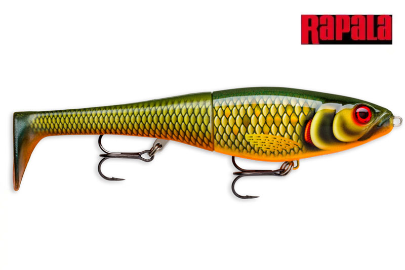 Rapala X-RAP PETO 20cm SCRR – Scaled Roach